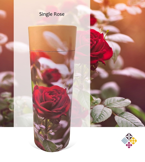 Picture of Single Rose Scatter Tube