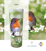 Picture of Robin Scatter Tube