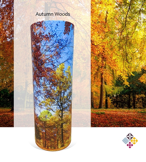 Picture of Autumn Woods Scatter Tube 