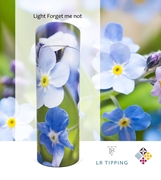 Picture of Forget Me Not Scatter Tube 