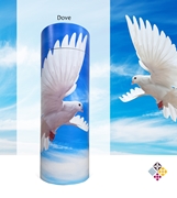 Picture of Dove Scatter Tube 