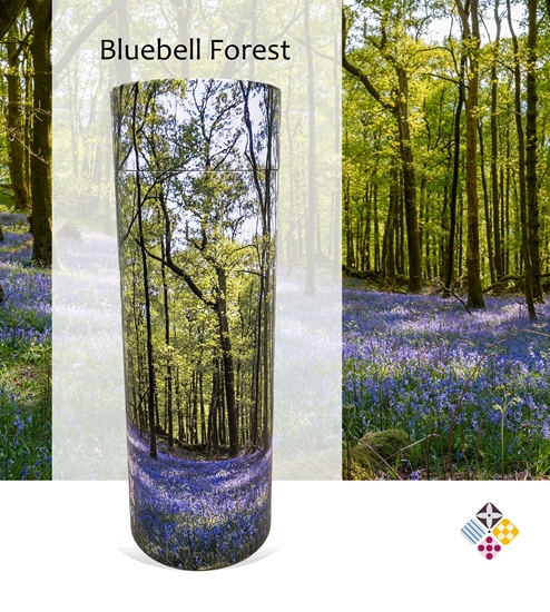 Picture of Bluebell Forest Scatter Tube 